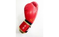 Боксерские перчатки Raja Snake red 14 oz