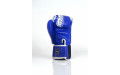 Боксерские перчатки TWINS Special FBGVL3-49 blue 16 oz