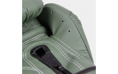 Боксерские перчатки Fairtex BGV11 F-DaY 10 oz