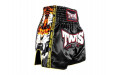 Шорты для бокса Twins Special TBS New Payak XL