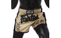 Шорты для бокса Fairtex BS1713 (бежевый) L Шорты для бокса Fairtex BS1713 (бежевый) L
