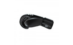 Боксерские перчатки Fairtex BGV27 black 12 oz