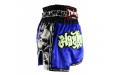 Шорты для бокса Twins Special TBS skull blue M