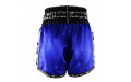 Шорты для бокса Twins Special TBS skull blue M