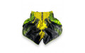 Шорты для бокса Twins Special TBS Candy green XL