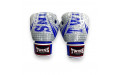 Боксёрские перчатки FBGVL3-TW5 white blue 10 oz