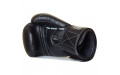 Боксерские перчатки Twins Special BGVL14 black 16 oz