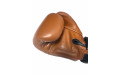 Боксерские перчатки Twins Special BGVL3 brown 14 oz