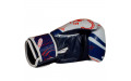 Боксерские перчатки Twins Special FBGVL4-67 Yant 14 oz